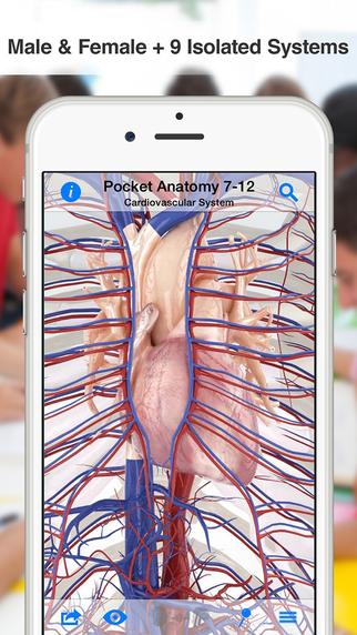 【免費教育App】High School Anatomy-APP點子