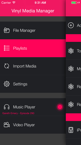 Vinyl Music and Video Files Manager