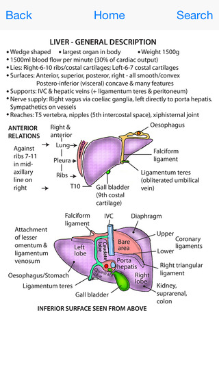 【免費醫療App】Instant Anatomy Flash Cards-APP點子