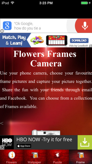 Flowers Photo Frames Flowers Live Wallpaper
