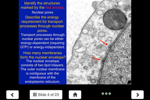 Histology - Basic Tissues screenshot 3