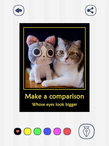 【免費攝影App】Caption - Meme Generator with Demotivational style & Advice Animal style-APP點子