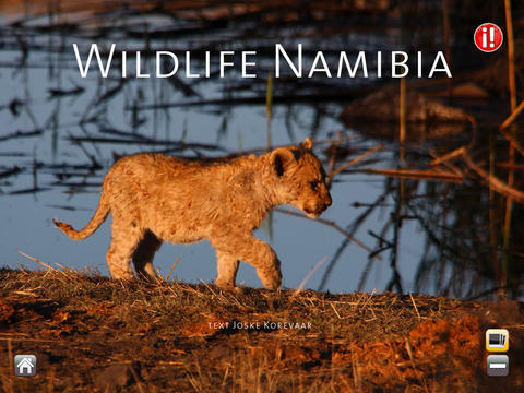 Discover Namibia screenshot 3