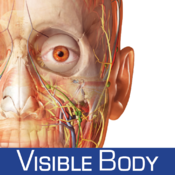 Human Anatomy Atlas