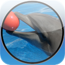 games and dolphin for my baby mobile app icon