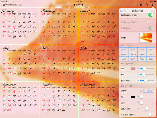 iPad Screenshot 5