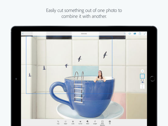 Adobe Photoshop Mix: edit, cut and combine your photos with fun, creative tools screenshot