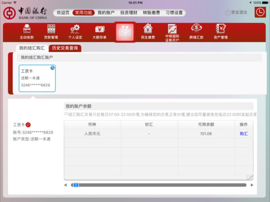iPad Screenshot 4