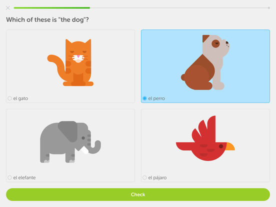 Screenshots of Duolingo: Learn Languages Free for iPad