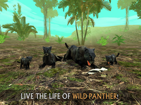 Wild Panther Sim 3D: Rainforest RPG Adventuresscreeshot 1