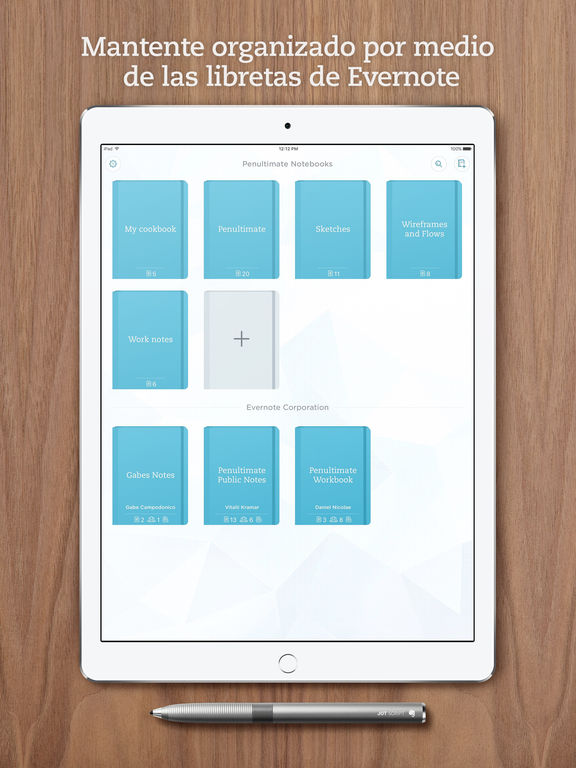 Captura de pantalla del iPad 5