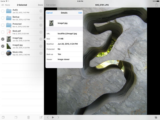 iPad Screenshot 1