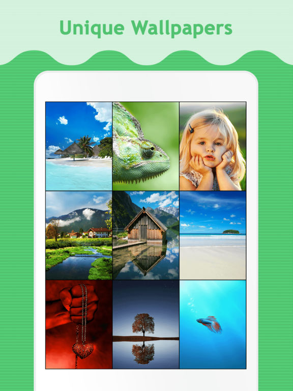iPad Screenshot 1