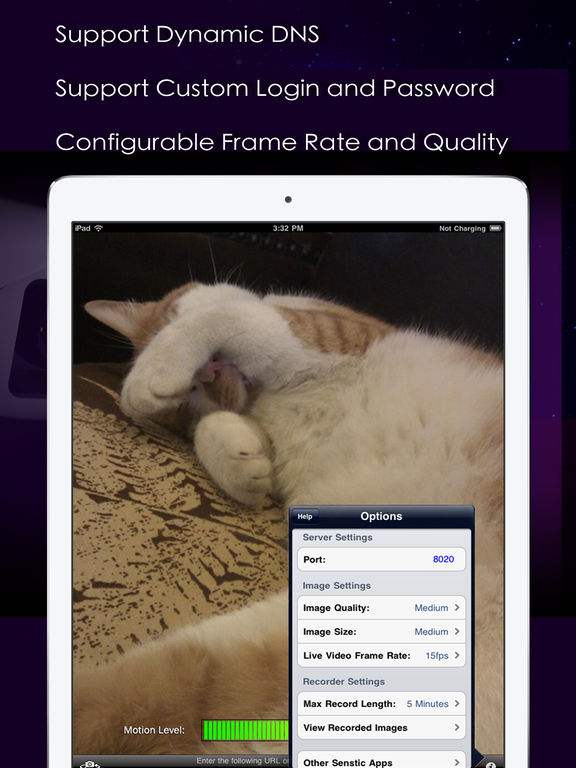 iPad Screenshot 4