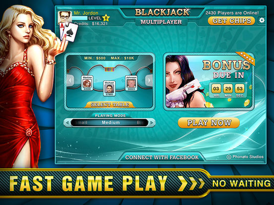 BlackJack Online - Just Like Vegas!screeshot 3