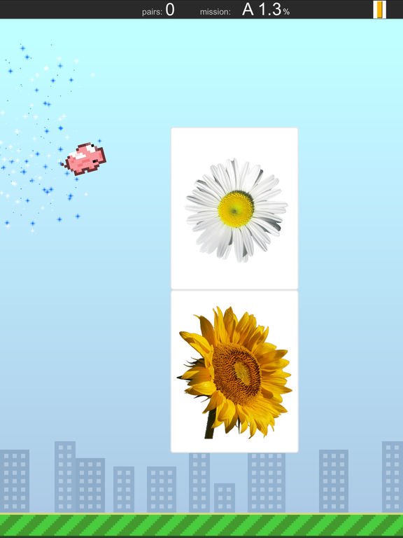 iPad Screenshot 5