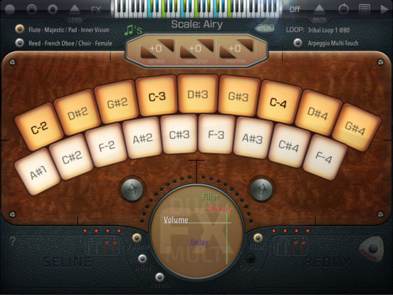 iPad Screenshot 1