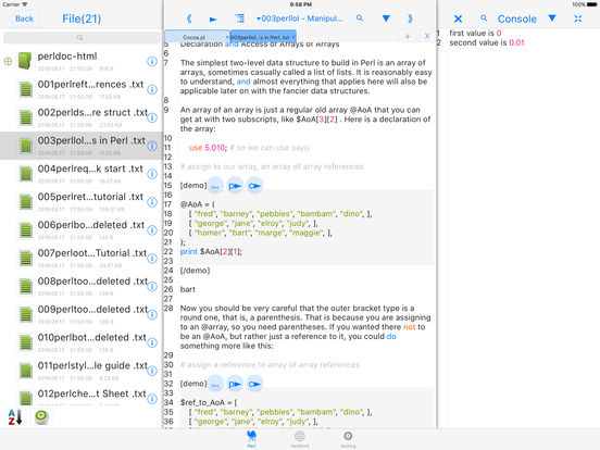 iPad Screenshot 1