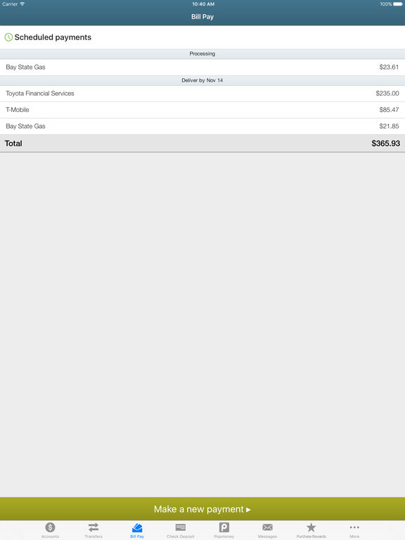 iPad Screenshot 3