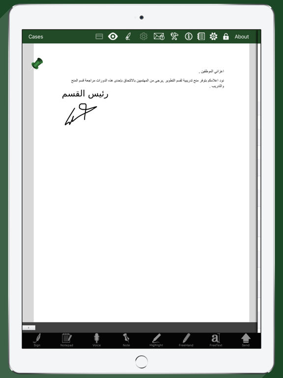 iPad Screenshot 2