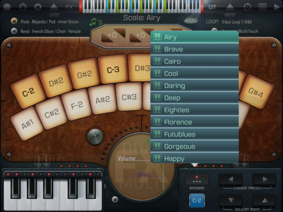 iPad Screenshot 2