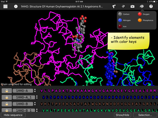 iPad Screenshot 5