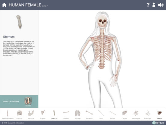 Build a Body: Biology Systems on the App Store