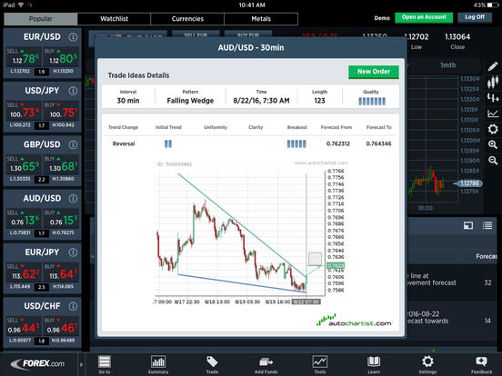 iPad Screenshot 2