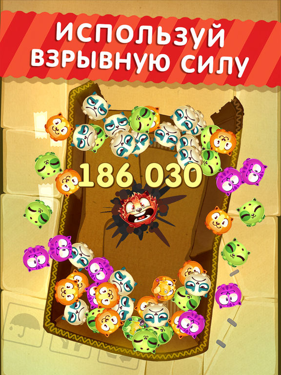 Котики Котики