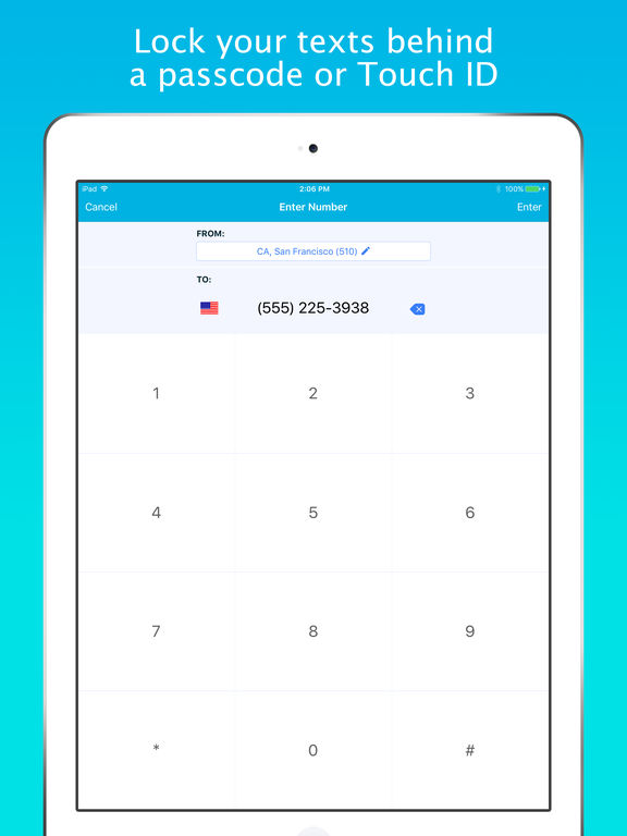 Screenshots of Smiley Private Texting - FREE anonymous sms number for iPad