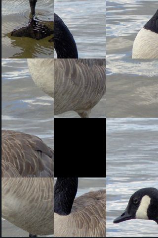 SlidePuzzle - Goose image #1