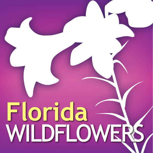 Audubon Wildflowers Florida – A Field Guide to the Wildflowers of Florida