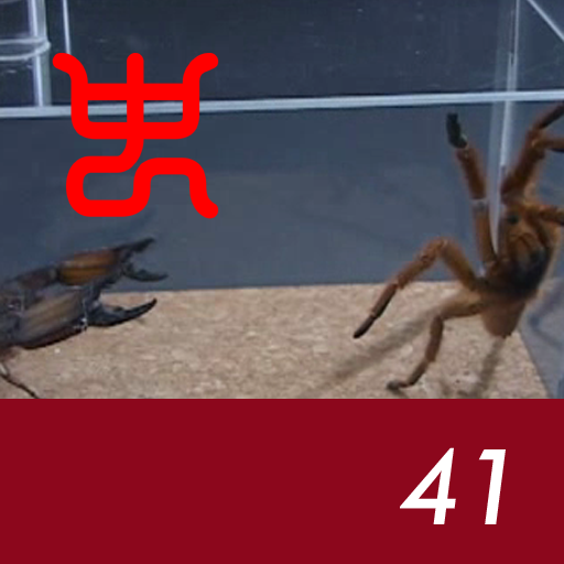 Insect arena 3 - 41.Flatrock scorpion VS Usambara orange baboon