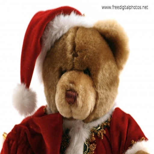 Slide Puzzle - Christmas Bear icon