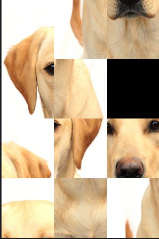 SlidePuzzle - Labrador Retriever image #1