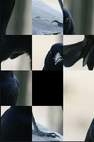 SlidePuzzle - Crow image #1