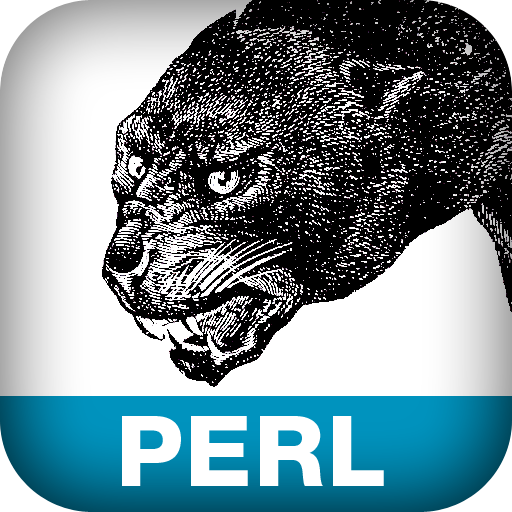 Advanced Perl Programming, Second Edition