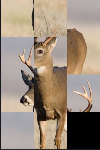 SlidePuzzle - Deer image #1