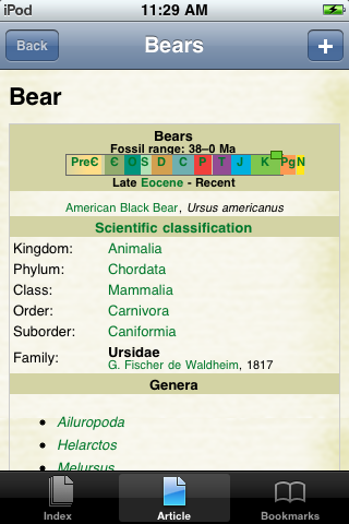Bears Study Guide image #1