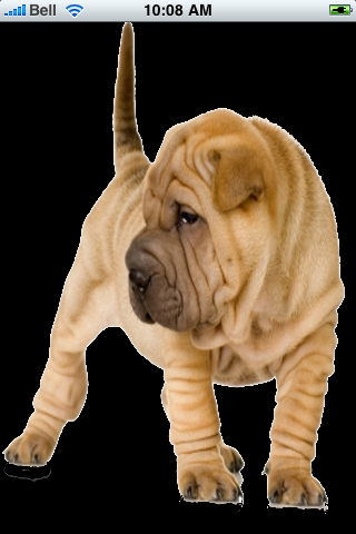 Sharpei Snow Globe image #1