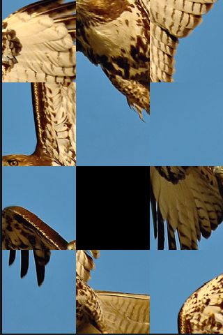 SlidePuzzle - Hawk image #1