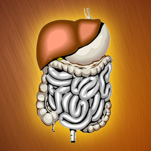 Digestive System