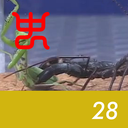 Insect arena 4 - 28.Giant Vinegaroon VS Harabiro mantis