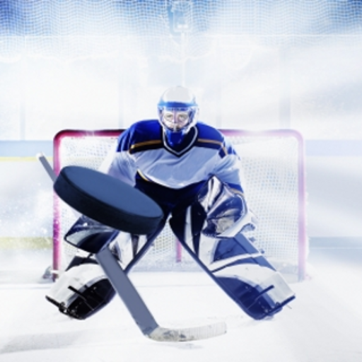 Hockey Goalie Slide Puzzle icon