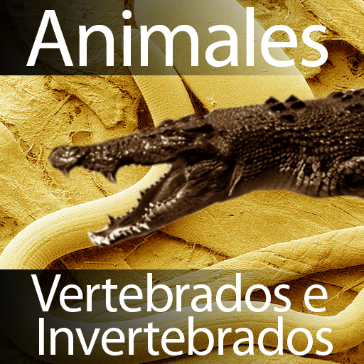 HD Vertebrados Invertebrados (espanol)