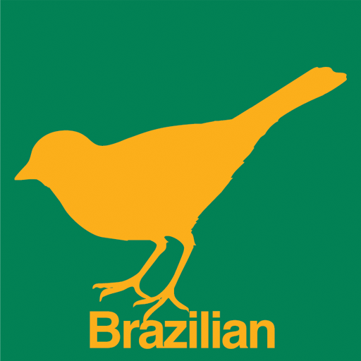 Brazilian Birds Vol. 1