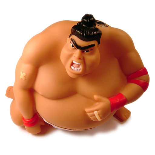 Sumo Wrestling Study Guide