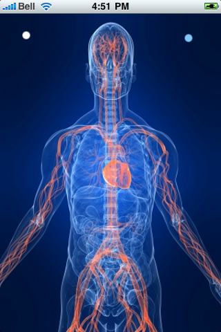 The Human Body Slide Puzzle image #1