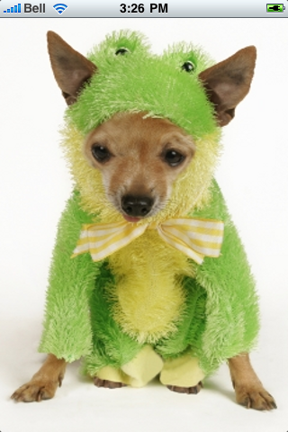 Frog Dog Slide Puzzle image #1