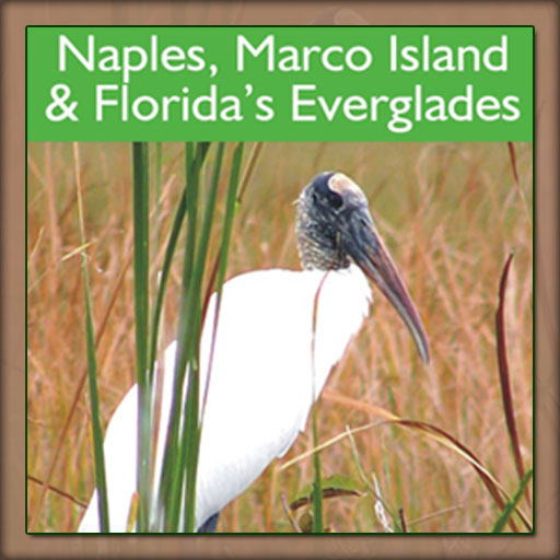 Naples, Marco Island & Florida's Everglades